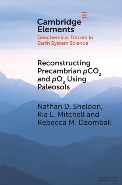 Reconstructing Precambrian pCO2 and pO2 Using Paleosols: eBook von Nathan D. Sheldon