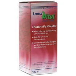 Lomavital Eisen+zink Flüssig 500 ml