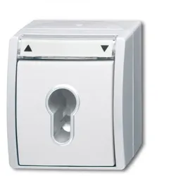 Busch-Jaeger 2712 SLW-54 Jalousieschalter/-taster Wechsel, 2-polig