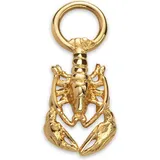 Paul Hewitt Charm PH-JE-0438 gold/Edelstahl