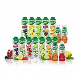 teisseire zero Pfirsich 6 x 600 ml