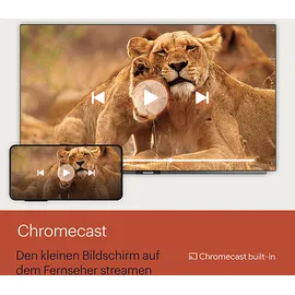 Grundig 55 VCE 223 55" 4K LED TV