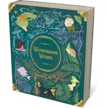 Strohmann Games Wundersame Wesen Brettspiel deutsch