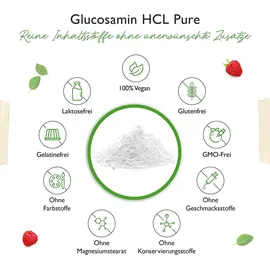 Vit4ever Glucosamin HCL Pure Pulver 1000 g