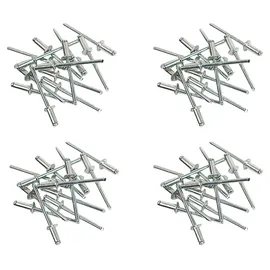 Brüder Mannesmann Werkzeuge Brüder Mannesmann Nietsortiment, (600-tlg.) M1097-S