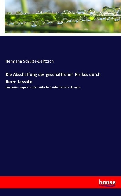 Die Abschaffung Des Geschäftlichen Risikos Durch Herrn Lassalle - Hermann Schulze-Delitzsch  Kartoniert (TB)