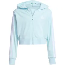 adidas Sweatjacke Green 164
