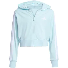 adidas Sweatjacke Green 164