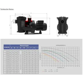 Fluidra Deutschland GmbH Victoria Plus Silent Pumpe 50M 11,0 m3/h
