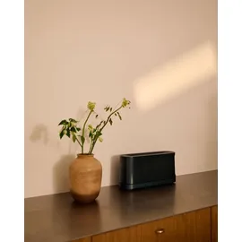 Jacob Jensen Langschlitz-Toaster Grün