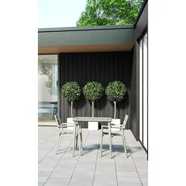 Brafab Delia Gartenstuhl 55 x 55 x 80 cm dusty green
