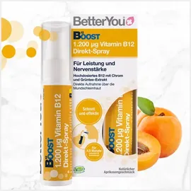 hansa naturheilmittel gmbh Boost Vitamin B12 Direkt-Spray 25 ml