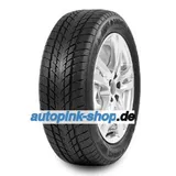 Davanti Wintoura 215/65 R16 102H