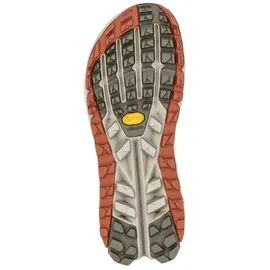 Altra Olympus 6 Hike Low Gore-tex® Wanderschuhe - Brown / Taupe - EU 43