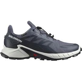 Salomon Supercross 4 Gore-Tex Herren grisaille/white/carbon 45 1/3