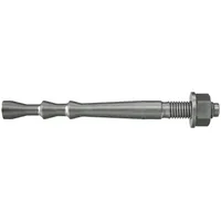 Fischer Highbond-Anker FHB II-A L Inject M12 x 100/25 R 10 Stück