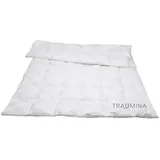 Traumina Cube Daune Kassettendecke WK 4 (Größe: 155x200 cm*)
