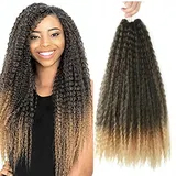 Brazilian Curly Boho Hair Braid - Haarverlängerungen zum Flechten mit Crochet im Echthaar-Look Kanekalon 500 Gramm aufgeteilt in 5 Stück + Satinmütze inklusive (T27, 20" 50cm)