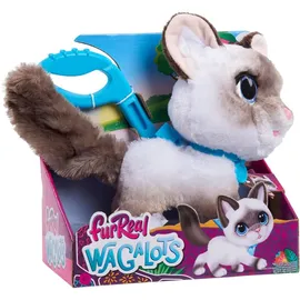 Hasbro FurReal Friends Kitty 20 cm Grau/Weiß/Mehrfarbig