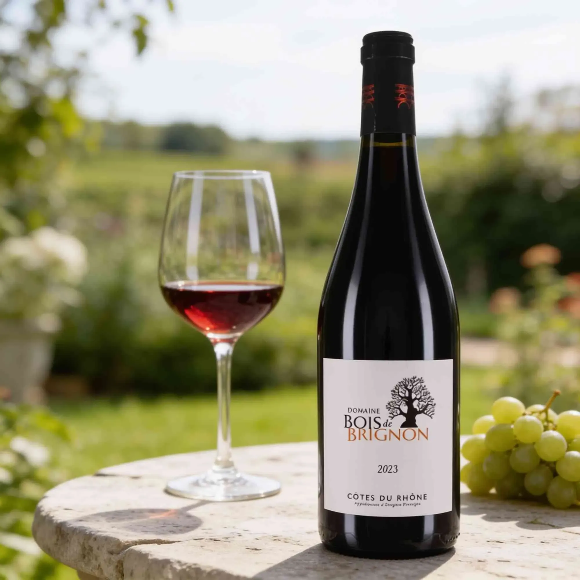 Les Coteaux de Fournes 2023 Les Coteaux de Fournes Bois de Brignon Côtes du Rhône 2023 Cinsault,Grenache,Syrah Frankreich