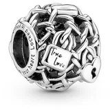 Pandora 790071C00 Silber Charm Kettenglieder Schloss