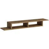 HANAH Home Stylish TV Stand Lowboard 120 x 29,6 x 18,2 cm Braun Spanplatte