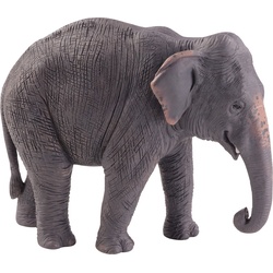 Animal Planet Asiatischer Elefant