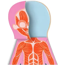 HaPe Magnetisches Puzzle Menschlicher Körper