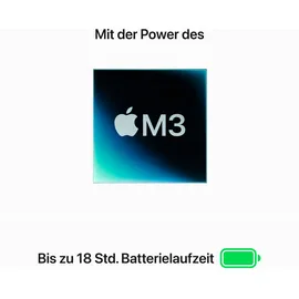 Apple MacBook Air M3 2024 13,6" 8 GB RAM 2 TB SSD 10-Core GPU Space Grau