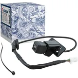 ACKOJA Rückfahrkamera, Einparkhilfe Original ACKOJA Qualität A38-74-0013