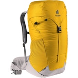 Deuter AC Lite 28 SL