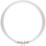 Philips Master TL5 Circular 55W/840 2GX13