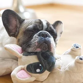 corimori EU Einheitsgröße 44-48 Plüsch Hausschuhe Pantoffeln Generation 1 Zorro der Frenchie, (beige) - 44/48