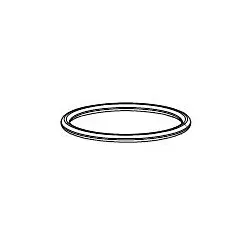 Grünbeck O-Ring zu S 1", 1 1/2" WW 101160