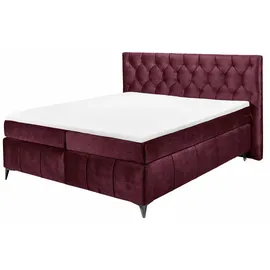 ed exciting design Pembroke 180 x 200 cm H2 rot