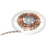 Eurolite LED Strip 600 5m 3528 2700+5700K 24V