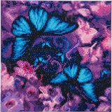 Crystal Art Leinwand Schmetterlinge 30x30cm CAK-AM1