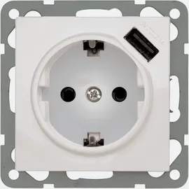 PEHA Elektro GmbH & Co. KG Peha Universelle USB-Steckdose D 6511.03 SI USB