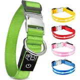 petsation Leuchthalsband Hundehalsband Grün S