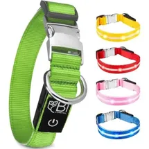 petsation Leuchthalsband Hundehalsband Grün S