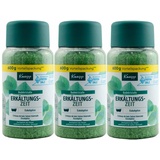 Kneipp Erkältungszeit Badesalz 600g