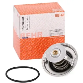 mahle TX 25 87D