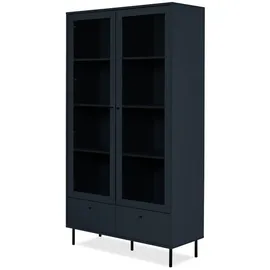 furn.design Vitrine Barina 100 x 183 x 40 cm Blau