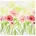 Servietten 3-lagig 1/4-Falz 33 cm x 33 cm Summer Breeze