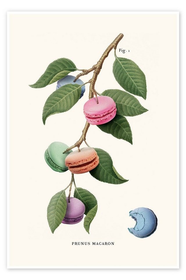 Posterlounge Poster Jonas Loose, Macaron-Pflanze, Mädchenzimmer Kindermotive beige 20 cm x 30 cm