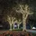 Lumi Jardin Lichterkette Solar 3,90 m 400 LEDs schwarz