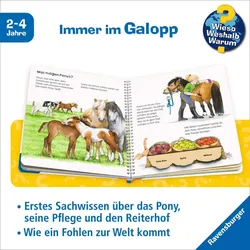 Das Pony