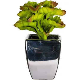 OTTO home Kunstpflanze Loreen Sukkulente, OTTO home, Höhe 13 cm, im Topf, 3er Set grün