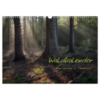 Calvendo Waldkalender (Wandkalender 2026 DIN A3 quer), CALVENDO Monatskalender