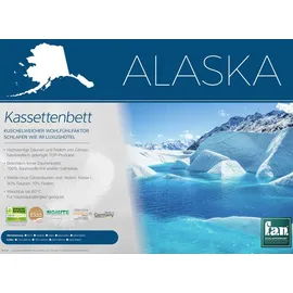 fan Daunen-Kassettendecke Alaska-Biobasiert, Größe 200x200 cm
